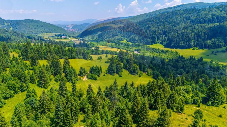 Natură— 18.900 mp în Săcele, cu râu și priveliște montană