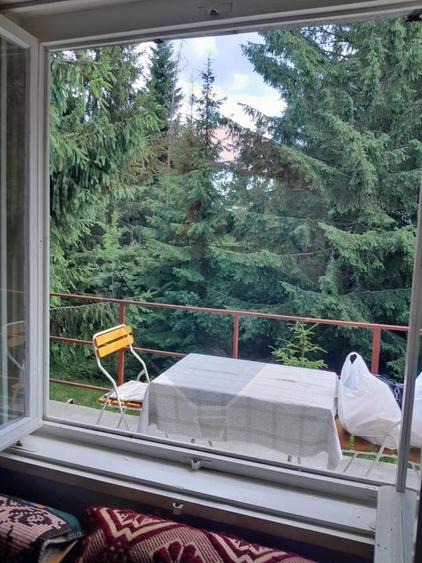 Cabană de vânzare în Muntele Băișorii – Zona Jera