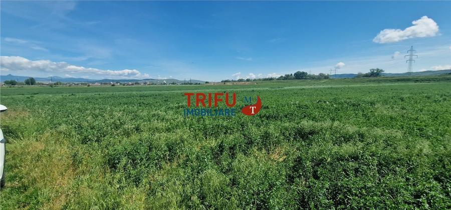 Teren de vanzare zona Soseaua de Centura