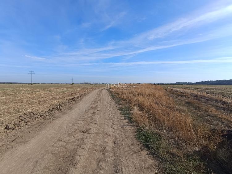 1 Decembrie Ilfov 19.300 mp - 3