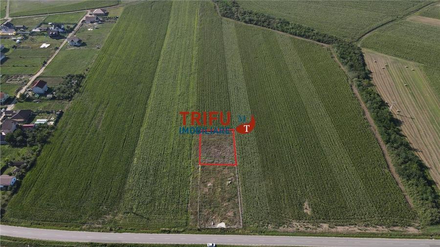 Teren de vanzare in Ighiu 1000 mp
