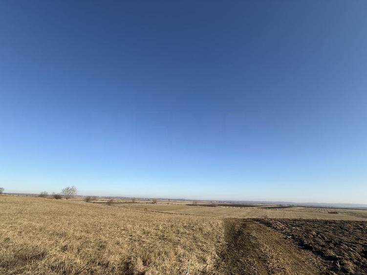 Teren extravilan | Rădăuți | 600 m de centură | 20 m front
