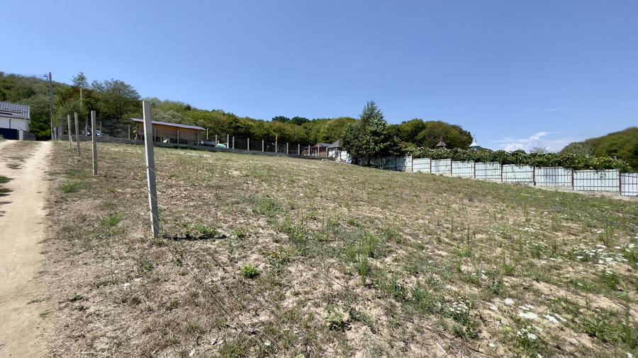 Teren Intravilan de Vis în Bascov, la Marginea Pădurii!