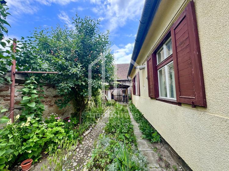Casa individuala, 2 camere, sura 100mp, 290mp teren, Turnisor - 6