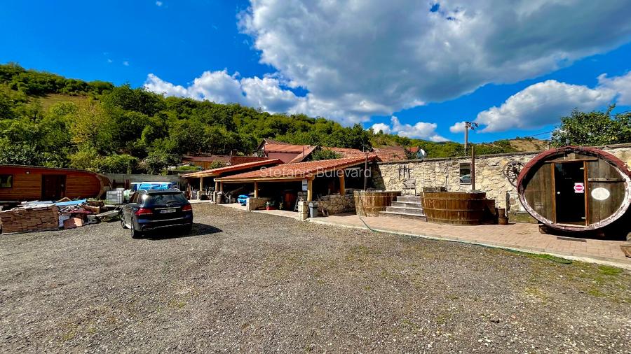 Proprietate cu uriaș potențial turistic, cramă, restaurant, saună și 2 ciubere - 6