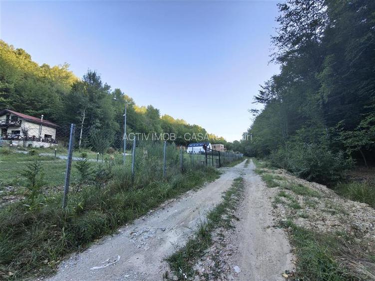 Teren intravilan de vanzare in padure Cisnadioara - 13