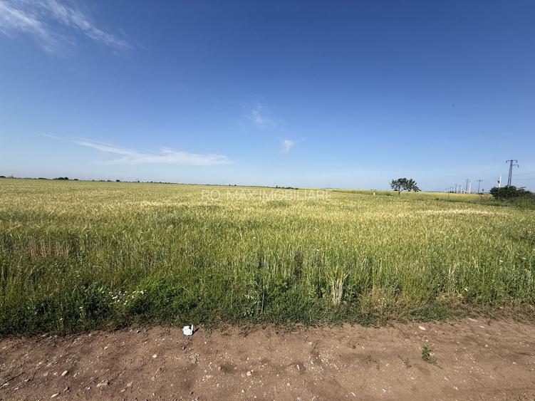 Teren 10 hectare pretabil pt panouri solare-Aricesti Rahtivani - 7