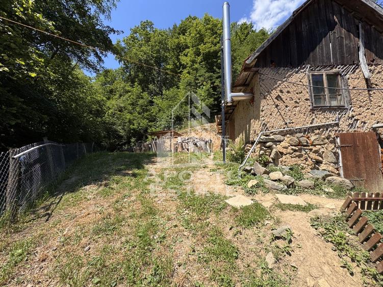 Casa din lemn, zona muntoasa, cu rau, la cheie, Ribita, Hunedoara - 46