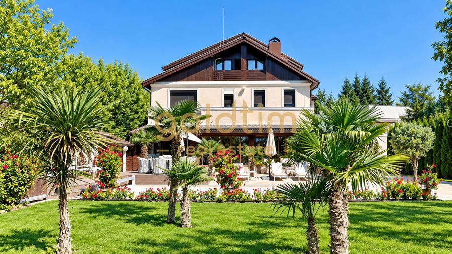 SUPERB/ PISCINA/vEGETATIE MATURA/ IANCU NICOLAE - 7