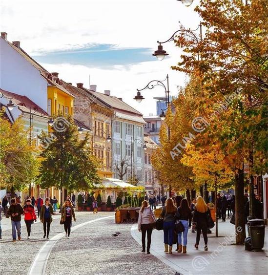 Spatiu pentru alimentatie publica si terasa zona Balcescu