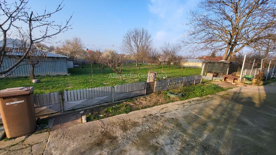 Teren 3073 mp + casa la marginea satului Dascalu 13 km de centura Bucuresti - 9