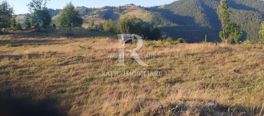 Teren Intravilan | 3.000 mp | Gârda de Sus | Alba | - 5