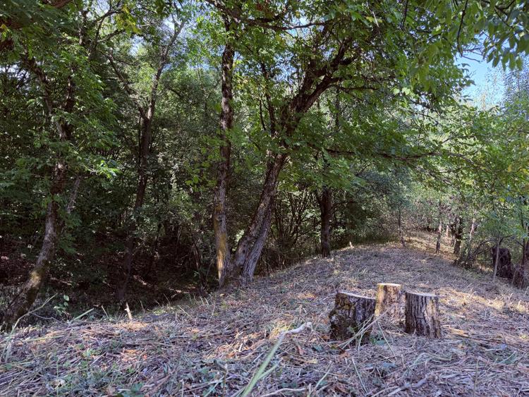 Teren 4.173 mp, front 60 m – Văliug, aproape de Lacul Gozna
