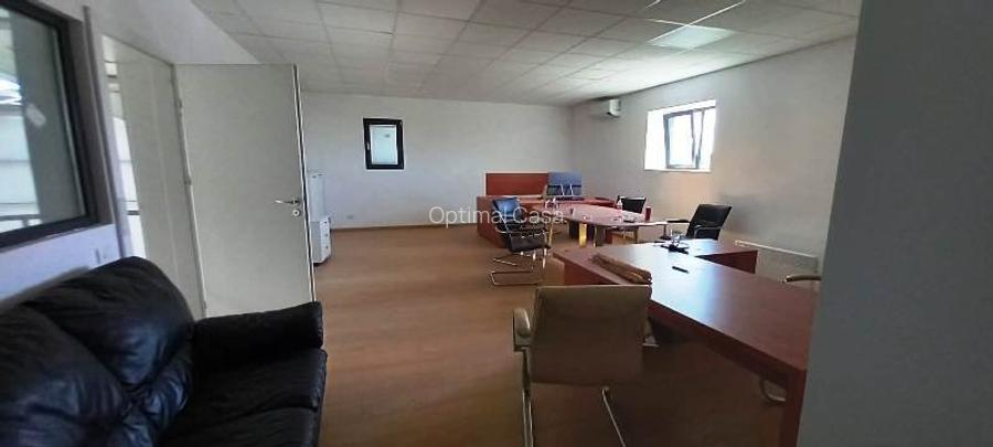 Magurele,hala 1000 mp,constructie noua ,ideal depozitare,productie - 8