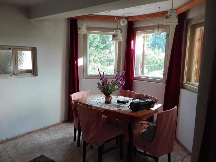 Vang casa de vacanta in Stinceni Neagra, 4 camere, 1640 mp teren,