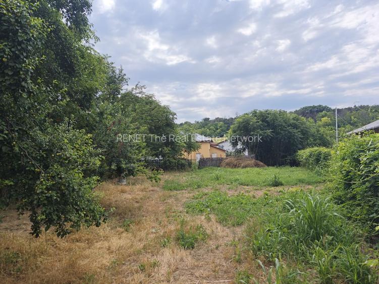 Vânzare Teren Intravilan 1430 mp Sat Izvoarele, Hotarele Giurgiu - 3