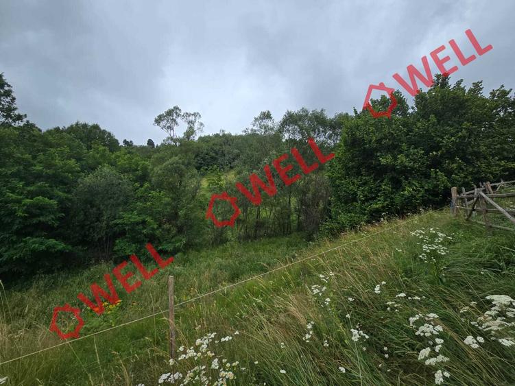 De vânzare teren extravilan loc. Sărămaș, com. Barcani