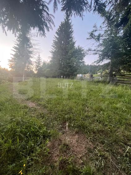 Teren intravilan PARCELABIL de vânzare  – Colibița - 8