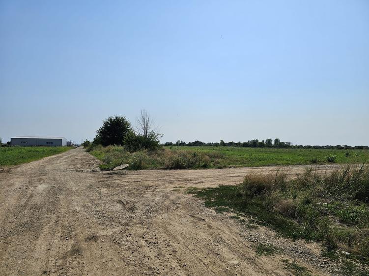Teren intravilan, 12.200mp, Balotesti, oportunitate de investitie