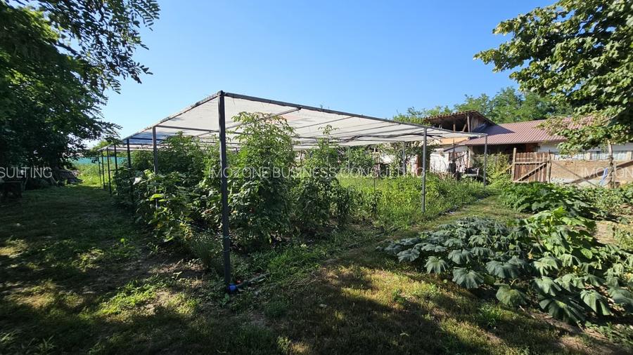 Munteni-Buzau, Casă 4 camere, 80 mp cu teren de 1.912 mp
