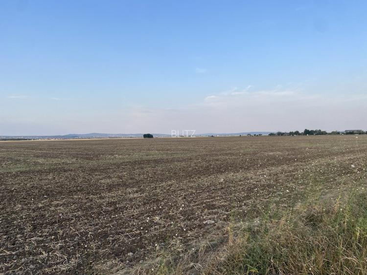 Teren intravilan 29 000 mp, Paulesti. DN1. - 7