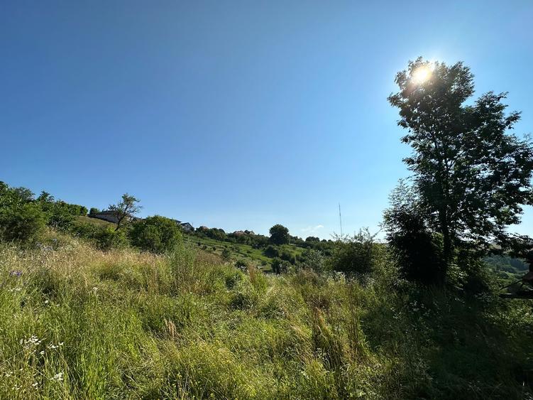 Teren de vanzare in Feleac, Intravilan