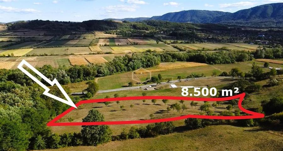VIDEO | Super view | Teren 8.500 m² in Maramures | Viitorul tau colt de liniste