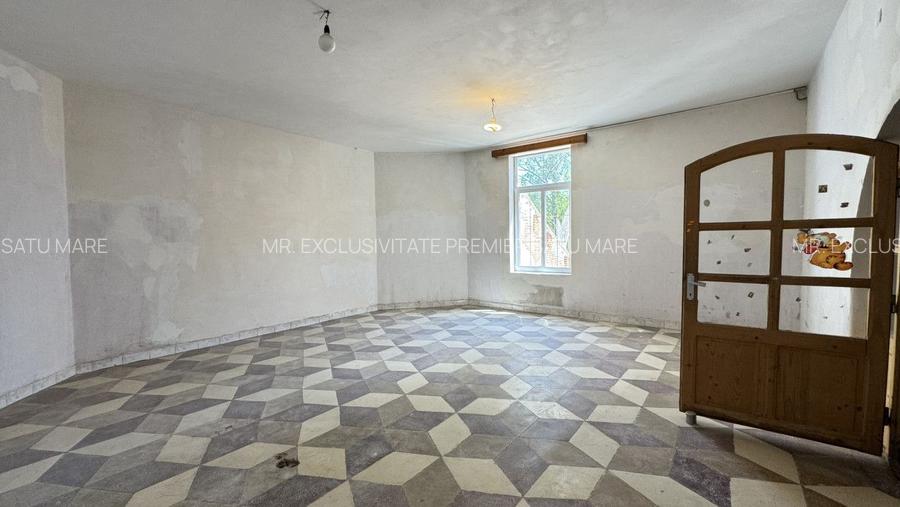 Spații de Inchiriat - Proprietate cu funcțiuni mixte – Str. Căplenilor Carei - 24