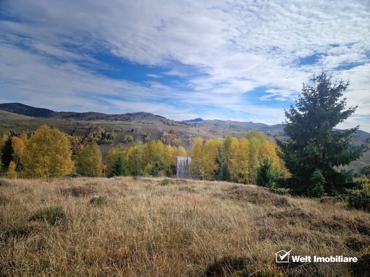 Teren de vanzare – Muntele Baisorii, 1000 mp, vedere spre rezervatia Belioara