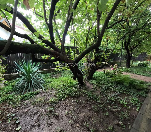 Casă Renovată cu Grădină | 227 mp | 3 Terase | 3 Dormitoare | Milcov - 56