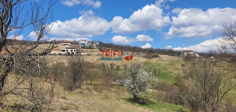 Teren 1654 mp zona Cetate Schit - 2