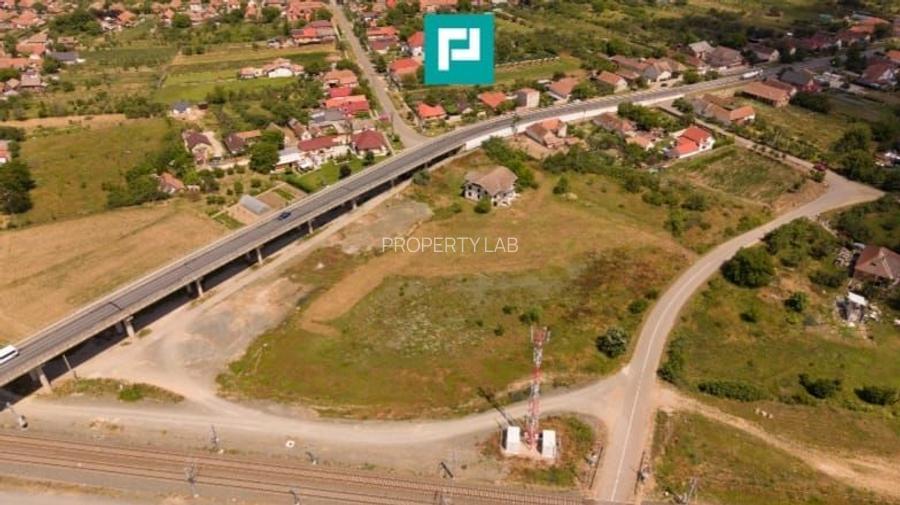 Teren intravilan 10.000 mp. în Pauliș - 4