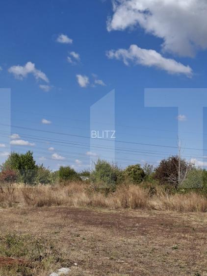 Teren intravilan 3.000 mp Milcov-Slatina | Prysmian | ideal investiție - 3