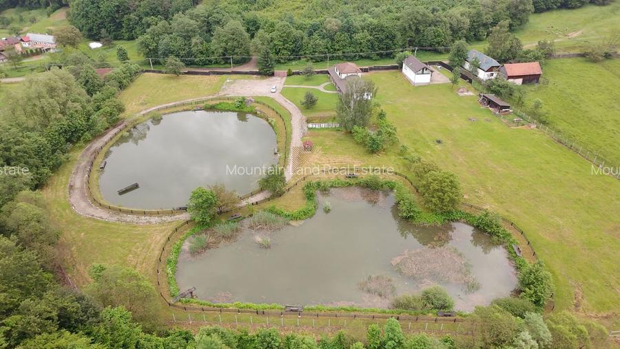 Complex turistic și proprietate deosebită de vânzare în Valea Dobârlău - 3