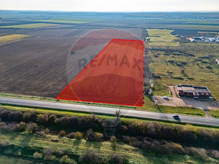 Teren 29220 mp Pecica,DN7, langa autostrada- Ideal pentru afaceri