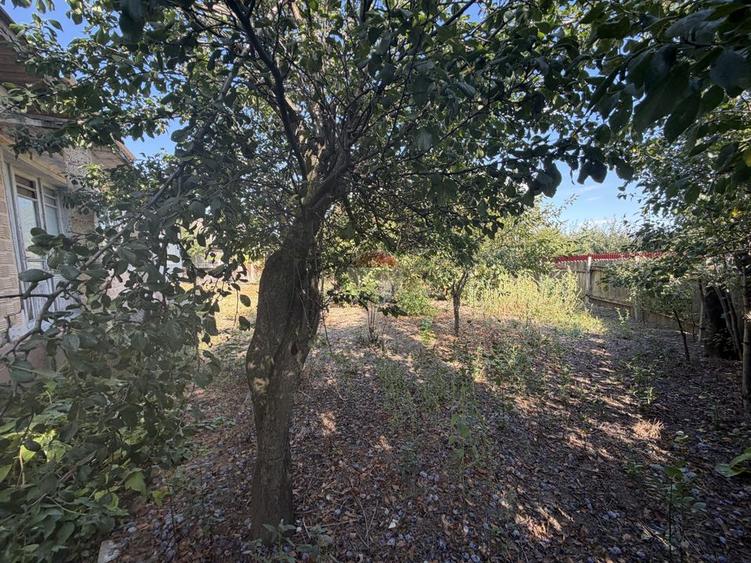 Casă in Tifesti cu teren agricol si padure
