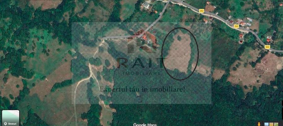 Teren extravilan de vânzare 11.740 mp Corbeni Turburea Argeș