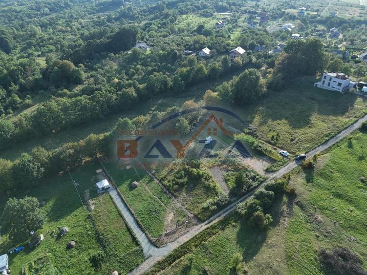 Vanzare teren, intravilan Baia Sprie – Strada Salcâmului, priveliște deosebită