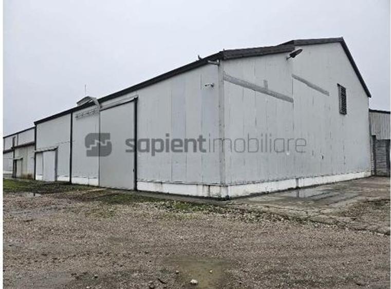 Proprietate industrială  Platformă logistică de vânzare în Tinca