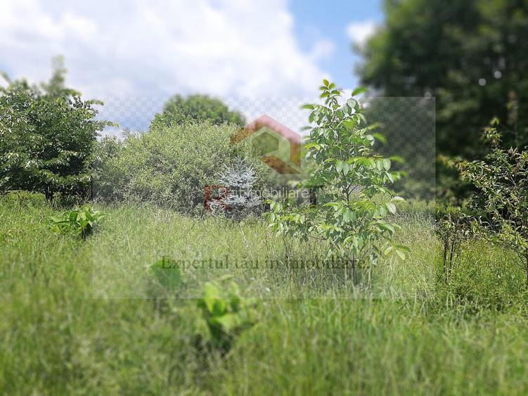 Casă individuală 6 camere de vânzare Brăduleț Argeș Complex Cabane - 29