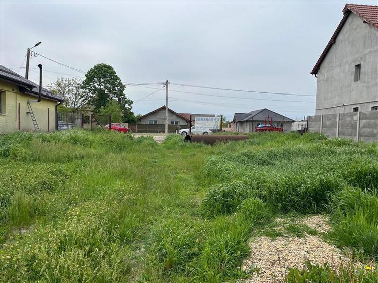 Remetea Mare, Teren Intravilan 1.500 Mp.,