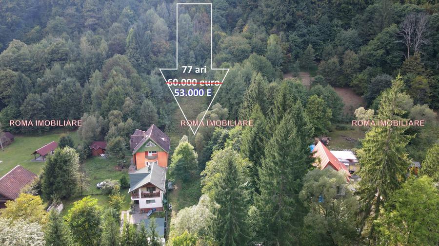 Vânzare teren – Blidari, Maramureș