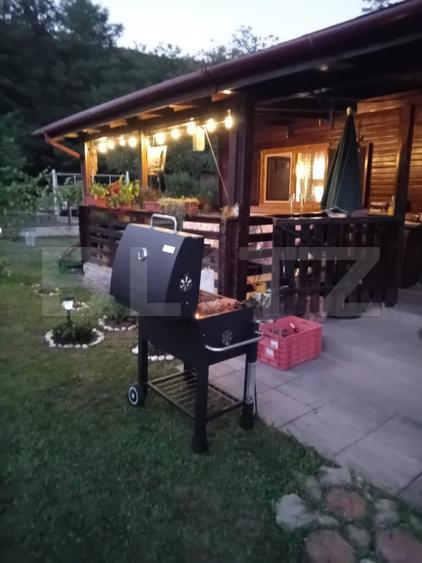 Cabană + teren generos, 60 mp utili, 30 km de Deva - Boz