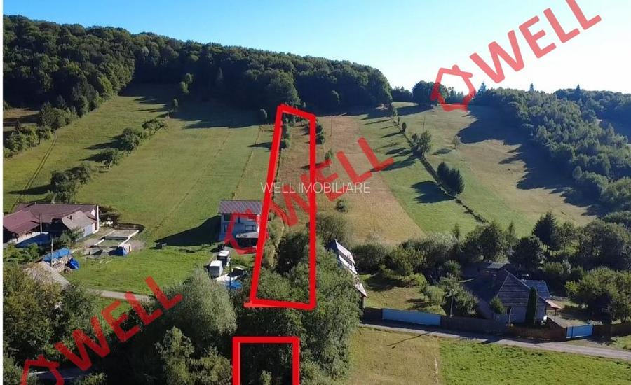 De vânzare teren extravilan în Întorsura Buzăului, Brădet! - 10