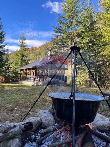 Casă de vacanta Lunca Visagului (Valea Draganului) - 19