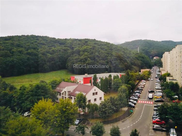 Apartament 4 camere  | 2 bai | Vedere spre munte | Racadau - 10