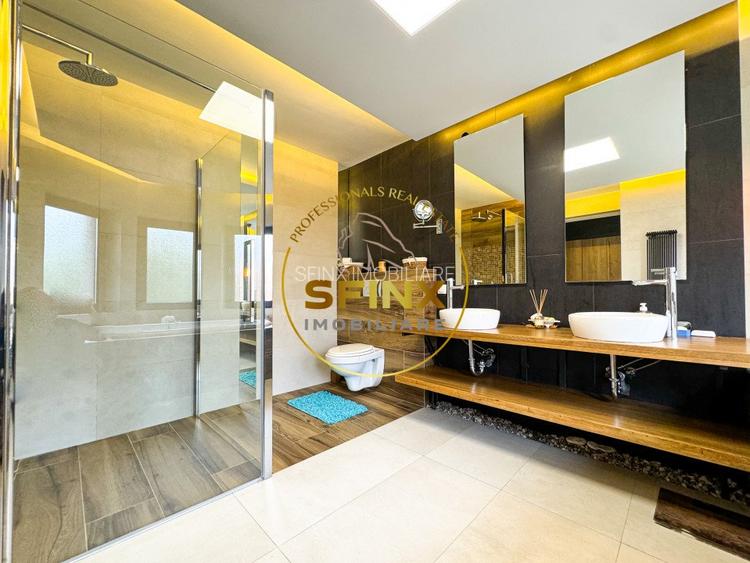 Casa curte proprie Soseaua Alexandriei - 27