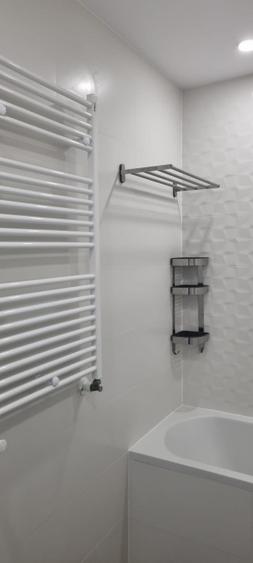 2 camere Theodor Pallady