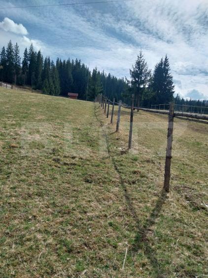 Teren intravilan, 4000 mp, Vatra Dornei