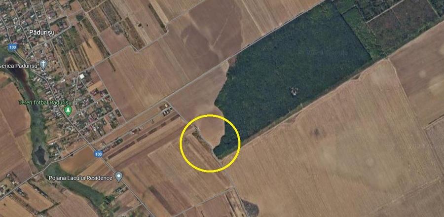 Vanzare teren Frumusani, 7.961 mp, D: 175 m, langa padure, comision 0%